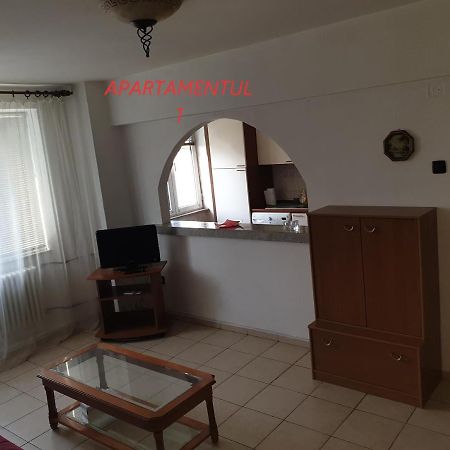 Apartament Cu 2 Camere,Ultracentral In Arad Exterior foto