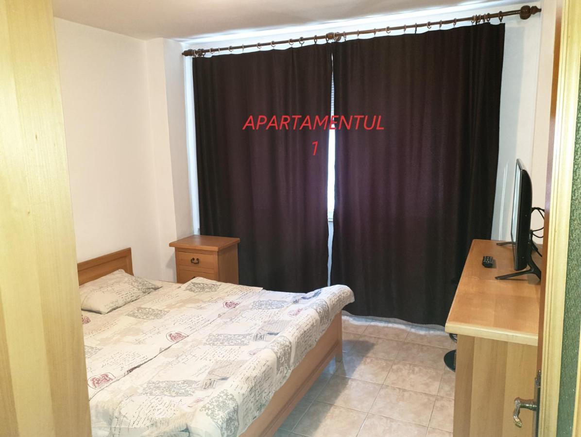 Apartament Cu 2 Camere,Ultracentral In Arad Exterior foto
